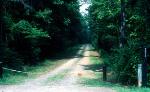 Burma Road
