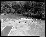 Boys Swimming