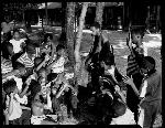 Boys gather around tree
