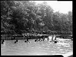 Swimming Lesson