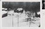 Snow on Cabins