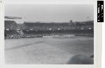 Ball Park