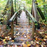 laurel loop trail