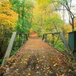 the historic iron bridge over quantico creek