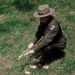 ranger