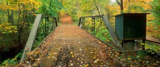 North Fork Quantico Creek Bridge in fall