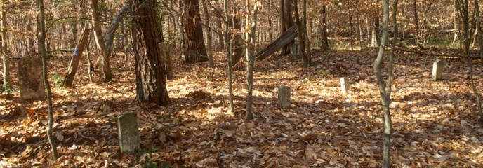 The Florence Cemetery in the woods