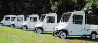 A fleet of electric and hybrid vehicles.