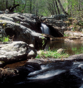site 4