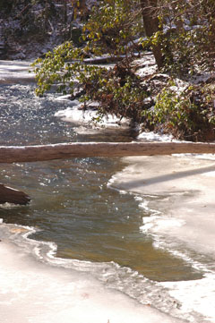 South Fork Quantico Creek partially frozen over in January