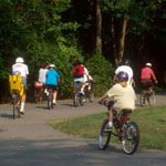 bicycling in the park bicycling in the park