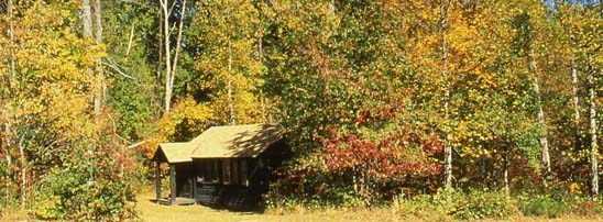 cabin in fall