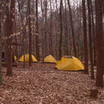 Yellow tents at Turkey Run.