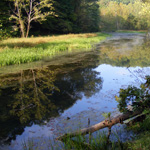 stream