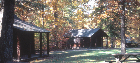 cabin camp 3 in fall
