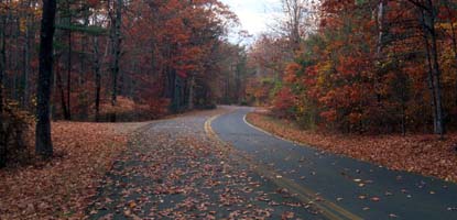 Scenic Drive in Fall