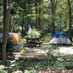 tents in campground