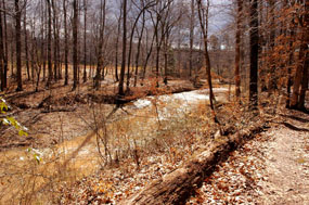 Quantico Creek