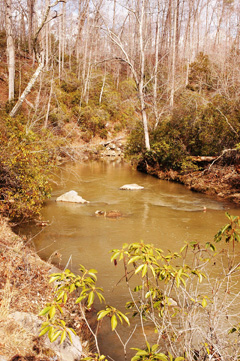 South Fork Quantico Creek