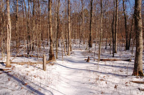 Farms to Forest Trail in the winter.