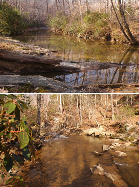 Two views of Quantico Creekin the winter.