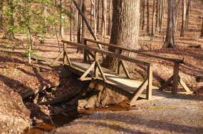 Foot bridge crossing over Mary Bird Branch Creek.