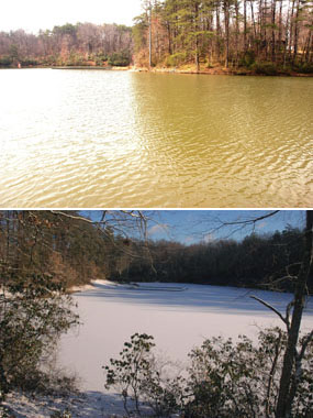 Camp 2 and 5 Lake