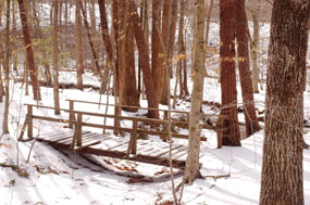 Footbridge at the end of Turkey Run Ridge Trail.