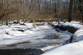 Quantico Creek in the Winter