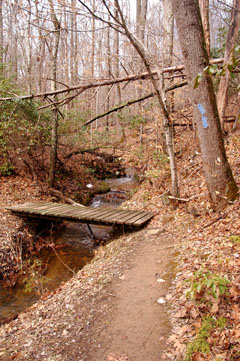 Footbridge over small tributary of Quantico Creek