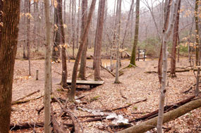 Footbridge and Quantico Creek