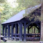 Pine Grove in spring.
