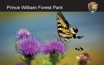 Prince William Forest Park annual pass