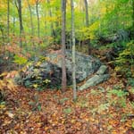 A rock outcropping in fall.