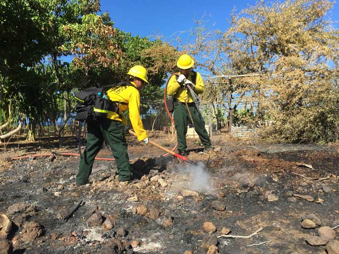 NPS firefighters extinguish hotspots at Puukohola Heiau