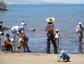 Visitors and volunteers enjoying the annual cultural festival, one of the many events at Pu'ukohola Heiau NHS.