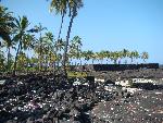 Puuhonua