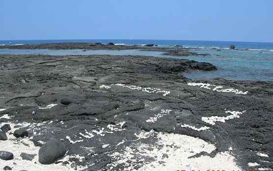 Coral graffiti on the lava rocks in the puʻuhonua