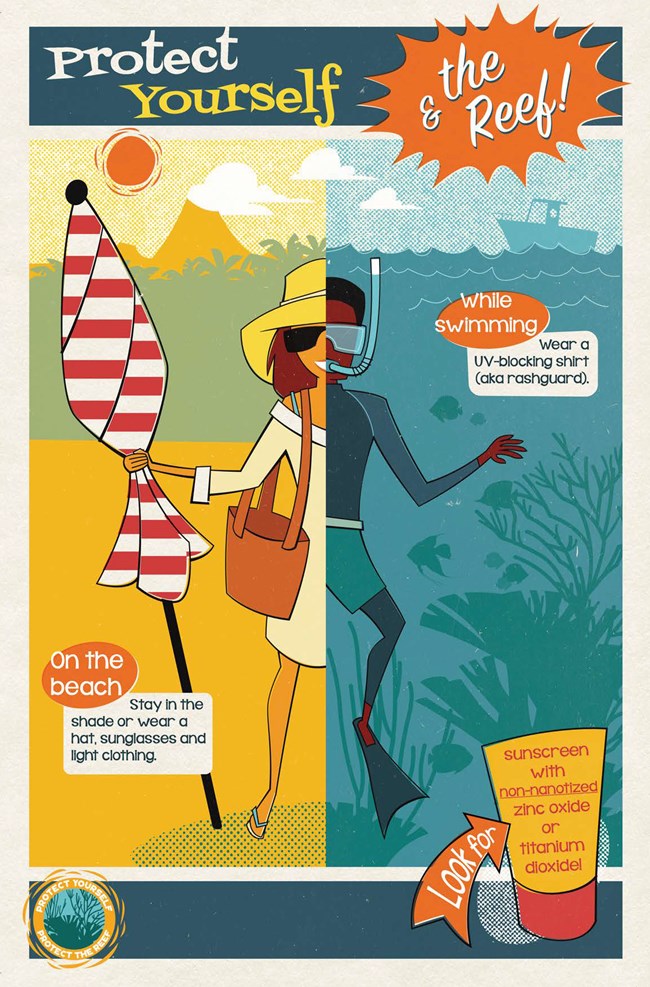 Infographic poster on how to protect yourself from the sun and protect the reef from harmful sunscreen chemicals. Full alt text in drop down box below image.