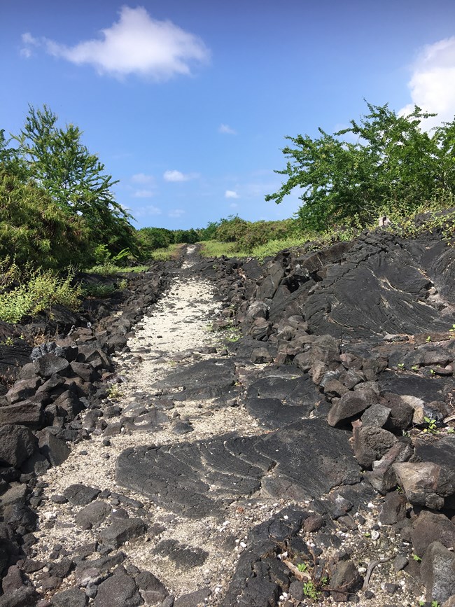 A lava rock and sand trail extends ahead with vegetation lining the trail.