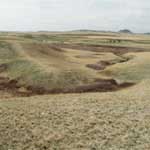 Bear Paw Battlefield
