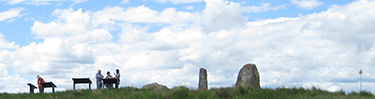 BEPAJune2010-375x99