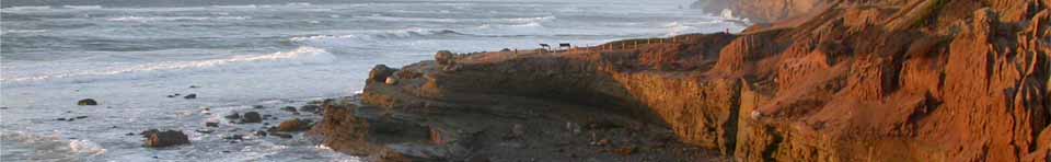 The tidepools of Cabrillo National Monument