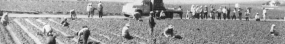 Workers in a field as a protest begins.