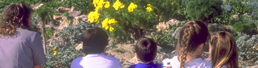 ranger with kids looking at coreopsis at visitor center