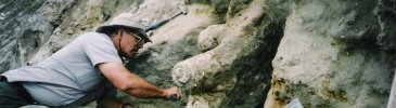 Archeologist excavates pgymy mammoth at Santa Rosa Island