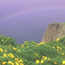 Video: The Rainbow Bridge