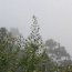 Fog in the California Channel Islands