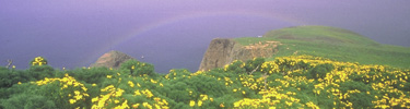 rainbow over arch point, santa barbara island   timhaufphotography.com