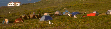 campground, anacapa island   timhaufphotography.com